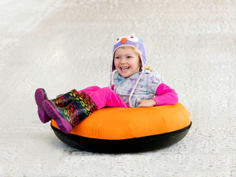 Snow Time In The Garden - Hunter Valley Gardens - Cancelled - Accommodation Kalgoorlie 1