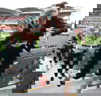 Stadium Stomp Adelaide Oval - Postponed - Accommodation Kalgoorlie