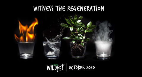 Wildfest - Annual Festival - Accommodation Kalgoorlie 0