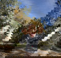 Zoorassic at Werribee Open Range Zoo. - Accommodation Kalgoorlie