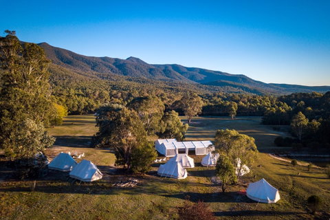A Wild Night Out - Spring - Accommodation Kalgoorlie 5