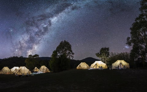 A Wild Night Out - Spring - Accommodation Kalgoorlie 6