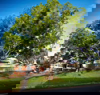 Big Bat Wildlife and Eco Festival - Accommodation Kalgoorlie