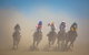 Birdsville Races - thumb 2