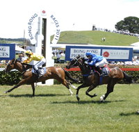 Bong Bong Picnic Races - Accommodation Kalgoorlie