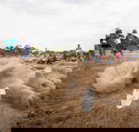 Broulee New Year's Eve Sandcastles and Sculptures - Accommodation Kalgoorlie