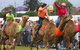 Camel Races At Penrith Paceway - thumb 0