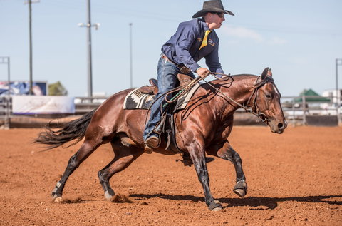 Cloncurry Stockmans Challenge And Campdraft - Accommodation Kalgoorlie 1