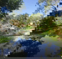 Conservation Volunteers Australia Townsville - Creekwatch - Accommodation Kalgoorlie