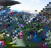 Craft Beer Sunshine Coast Festival - Accommodation Kalgoorlie