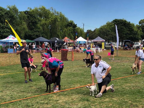Dogs In The Park Shell Harbour - Accommodation Kalgoorlie 1