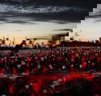 Field of Light Uluru - Accommodation Kalgoorlie