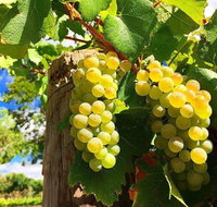 GetawaysSA Bringing Barossa To Your Door - Accommodation Kalgoorlie