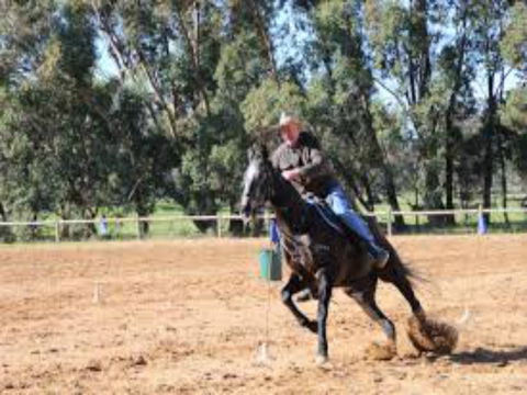 Glen William Gymkhana - Accommodation Kalgoorlie 1