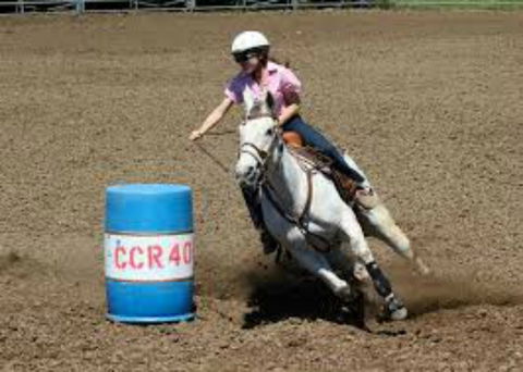 Glen William Gymkhana - Accommodation Kalgoorlie 2