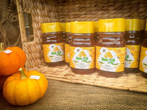 Greater Whitsunday Farmers Markets - Accommodation Kalgoorlie 1