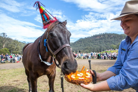 Horses Birthday Festival - Accommodation Kalgoorlie 0