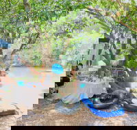 Jungle Love Festival - Accommodation Kalgoorlie