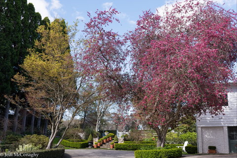 Leura Gardens Festival - Cancelled - Accommodation Kalgoorlie 0