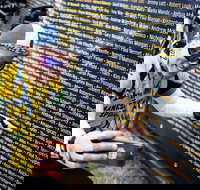 Ltape Australia by Tour de France - Accommodation Kalgoorlie