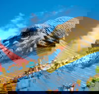 Mega Creatures at Hunter Valley Gardens - Postponed - Accommodation Kalgoorlie