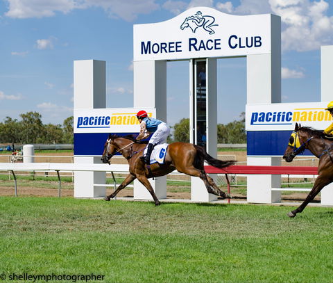 Moree Race Club TAB Race Day - Accommodation Kalgoorlie 0