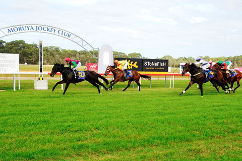 Moruya Cup - Accommodation Kalgoorlie 2
