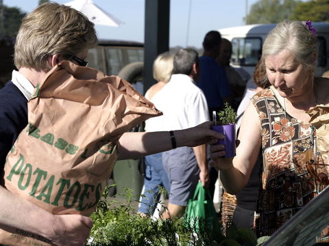 Sale  Producers Market - Accommodation Kalgoorlie 0