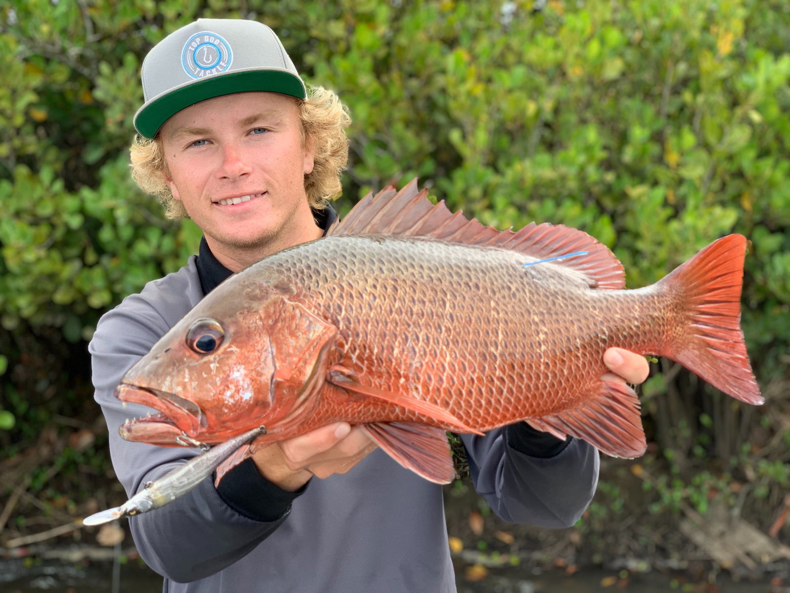 Diddillibah QLD Accommodation Kalgoorlie