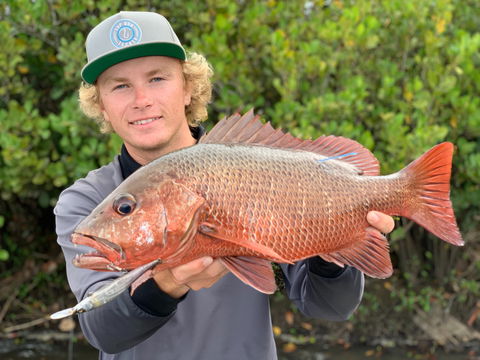 SCF Research And Sustainability Competition - Accommodation Kalgoorlie 0