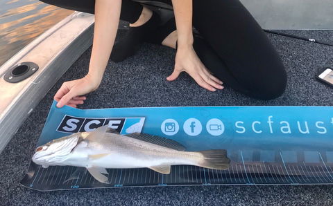 SCF Research And Sustainability Competition - Accommodation Kalgoorlie 1