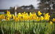 Sunday At Cruden Farm - thumb 0