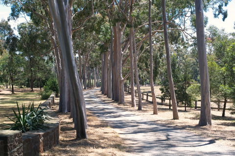 Sunday At Cruden Farm - Accommodation Kalgoorlie 1