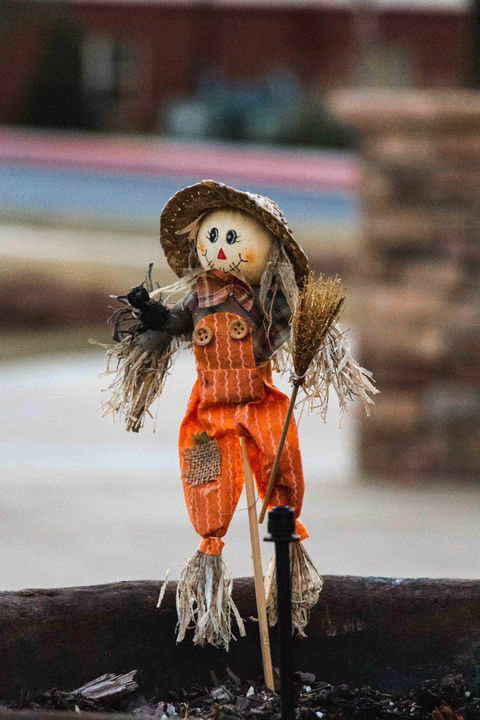 Tamborine Mountain Scarecrow Festival - Accommodation Kalgoorlie 0