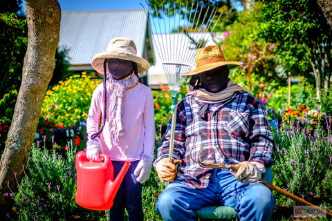 Tamborine Mountain Scarecrow Festival - Accommodation Kalgoorlie 2