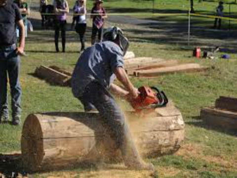 Tocal Field Days - Accommodation Kalgoorlie 0