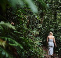 Daintree Ecolodge - Accommodation Kalgoorlie