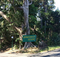 Byron Bay Rainforest Resort - Accommodation Kalgoorlie
