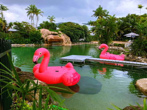 Cairns Colonial Club Resort - Accommodation Kalgoorlie 4