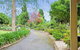 Bonville Lodge Bed & Breakfast - thumb 6