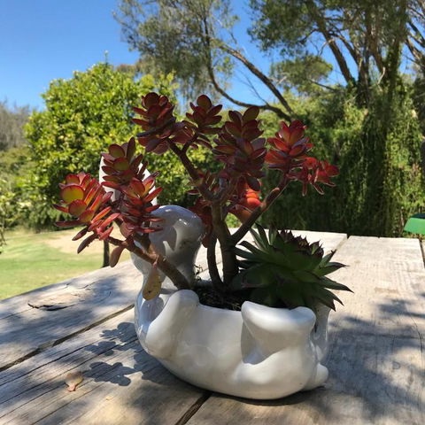The Fingal Farm - Accommodation Kalgoorlie 3