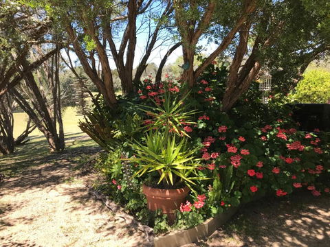 The Fingal Farm - Accommodation Kalgoorlie 6