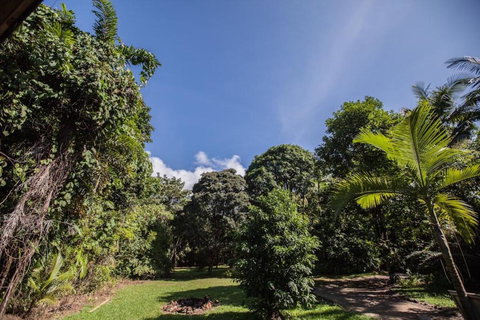 Cape Tribulation Holiday House - Accommodation Kalgoorlie 2