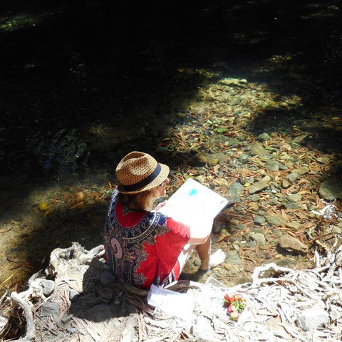 Cape Tribulation Holiday House - Accommodation Kalgoorlie 5