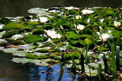 Saladin Lodge - Accommodation Kalgoorlie 6