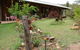 Twilight Grove Farm - thumb 5