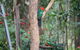 Twilight Grove Farm - thumb 3