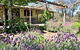 Capertee National Park Cottages - thumb 0