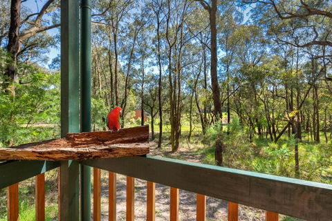 Cockatoo Cottages - Accommodation Kalgoorlie 6