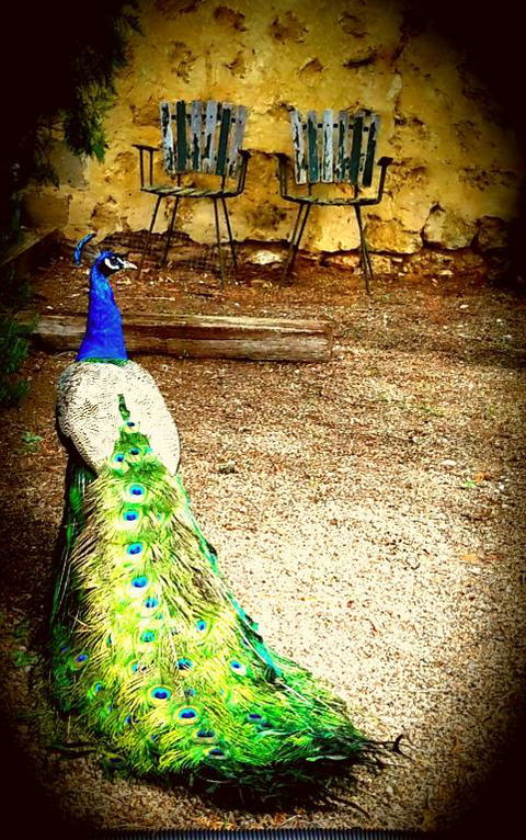A La Folly - Accommodation Kalgoorlie 4